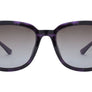 Enrico (ENP1011)